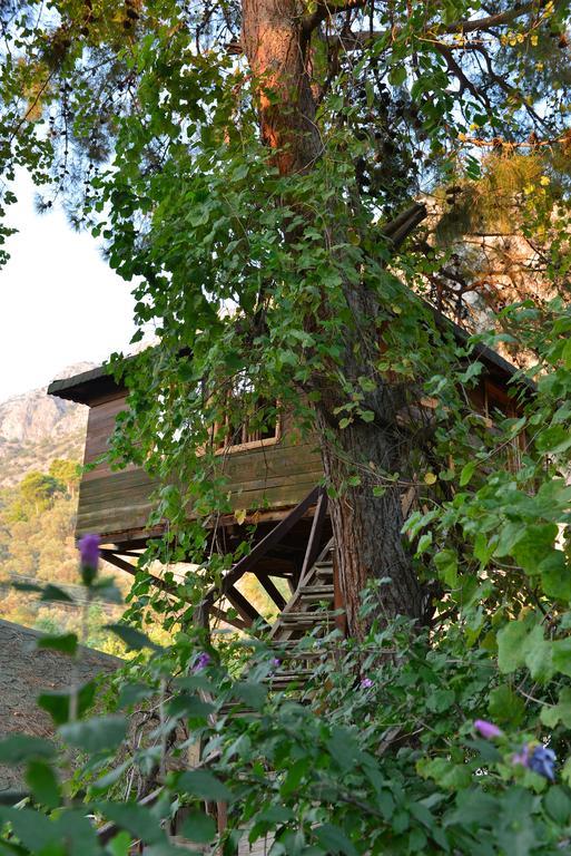 Gorge Club Hotel Saklikent Kamer foto